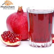 Hot selling pomegranate tea improve capillary activity